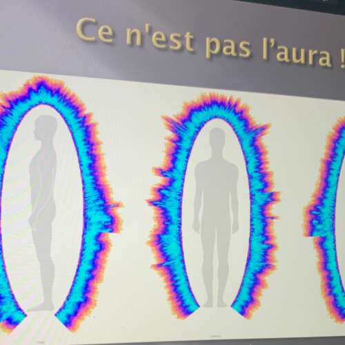 Les bilans énergétiques détaillés ( stress & énergie & organes ) avec préconisations